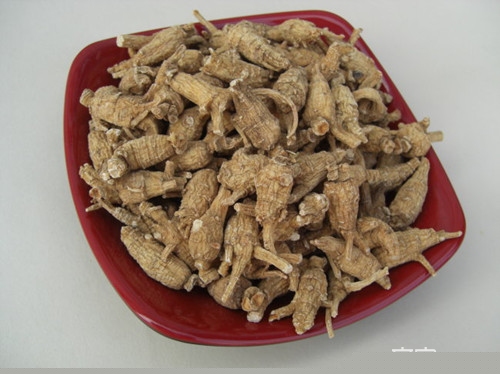 名贵上品中药 洋参的功效
