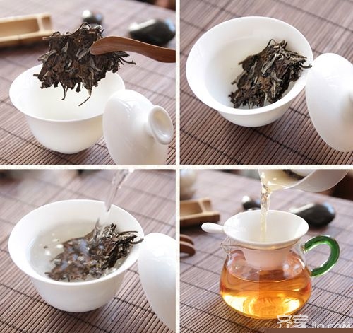 归纳得最全的白茶泡法 总有一款是你想要的