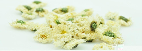 贡菊的功效  杭白菊和贡菊的区别