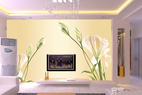 黄教主为大家分享客厅电视墙壁纸选购技巧