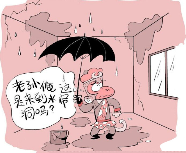 一次靠谱的“验房”到底有多重要？