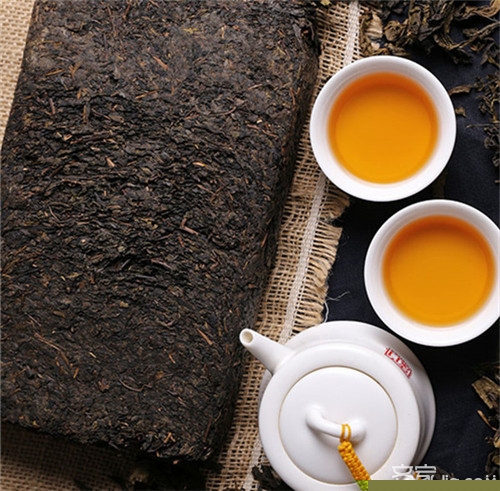 茯茶品牌介绍 健康生活的第一步