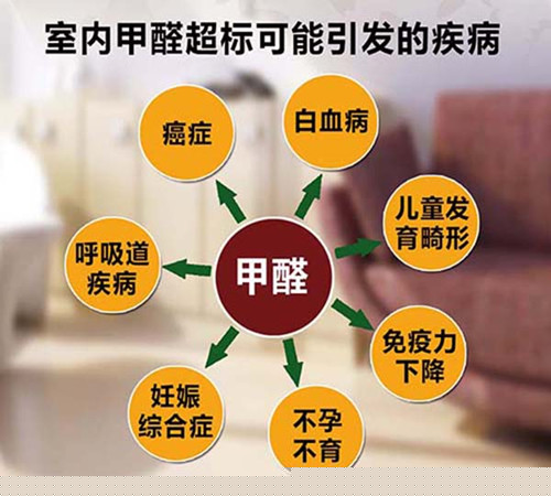 除甲醛哪家好 专业的除甲醛公司推荐