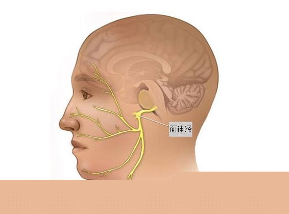 眼睛总跳是什么原因 有什么办法