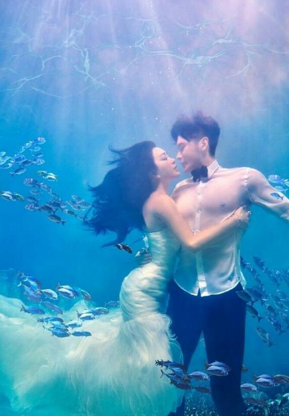 钟丽缇张伦硕婚礼现场曝光！教你轻松打造一个同样如梦如幻的家！