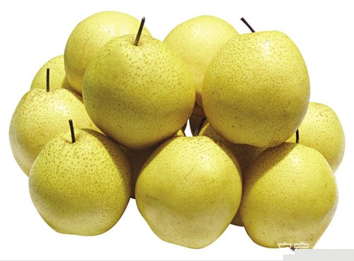 雪花梨的功效与作用及营养价值