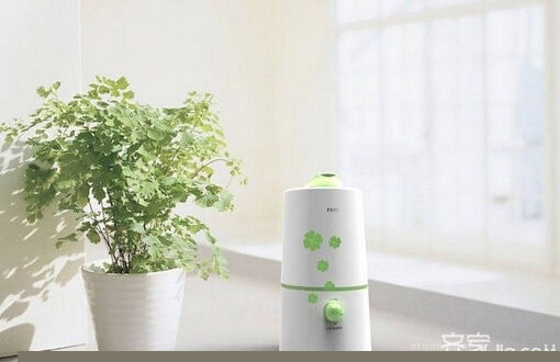 小熊加湿器怎么样 小熊加湿器好不好