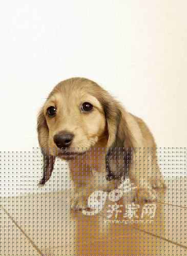如何避免地板安装后现缝隙