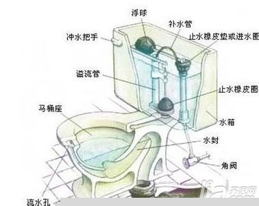老式马桶堵了应该怎么办