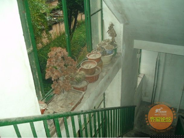 小编在现场 泥木验收全过程跟踪