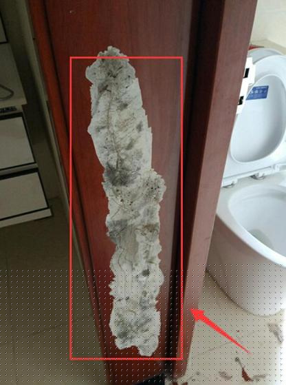 卫生间千万别用免漆门套，用了才两年免漆板就脱落了！