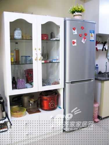 情人节玫瑰飘香 温婉MM幸福入住甜美玫瑰园