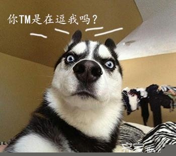 小区开放也不怕，安全防盗就靠它