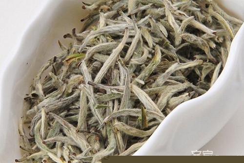 福鼎白茶品牌推荐 福鼎白茶喊出“我自己”