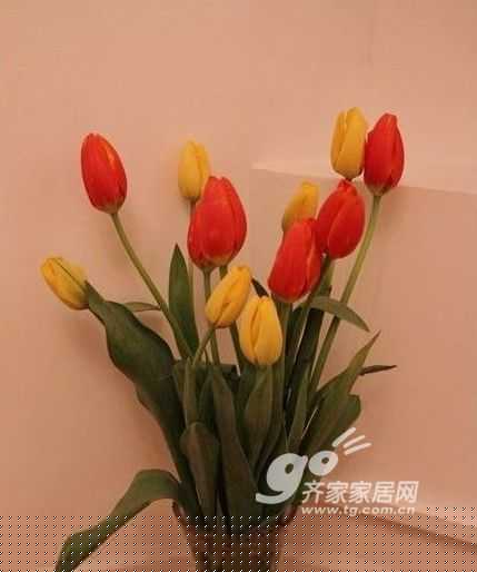 100坪旧居换新颜 我和儿子的快乐小天地