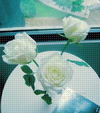 30平蜗居照样多功能 小公寓布置出大宅样