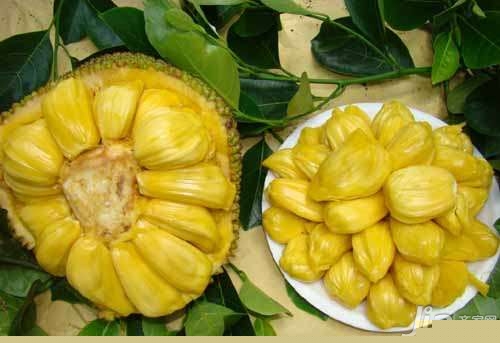 新房装修有“三宝”，巧用水果、蔬菜、盆栽